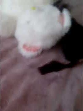 Роза пони - YouTube