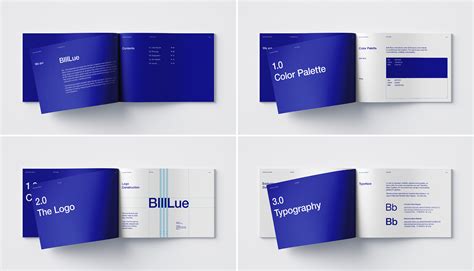 Blue Branding :: Behance