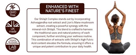 Shilajit Complex Himilayan Shilajit Enriched With Ashwagandha Lions