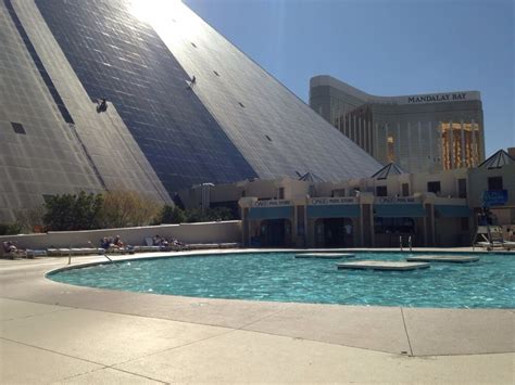 Oasis Pool - Hotels & Travel - The Strip - Las Vegas, NV - Reviews ...