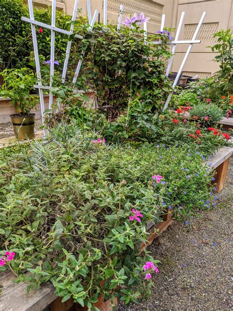 HILLTOP LIVING - Hilltop