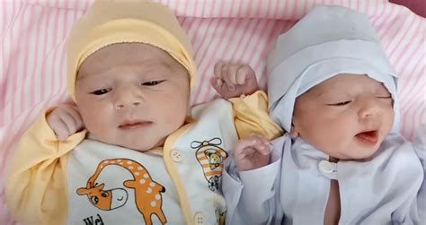 Те, як ці новонароджені близнюки спілкуються один з одним, вражає ...