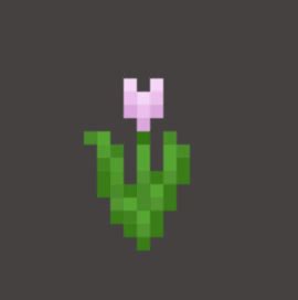 Pink Tulip: Minecraft Pocket Edition: CanTeach