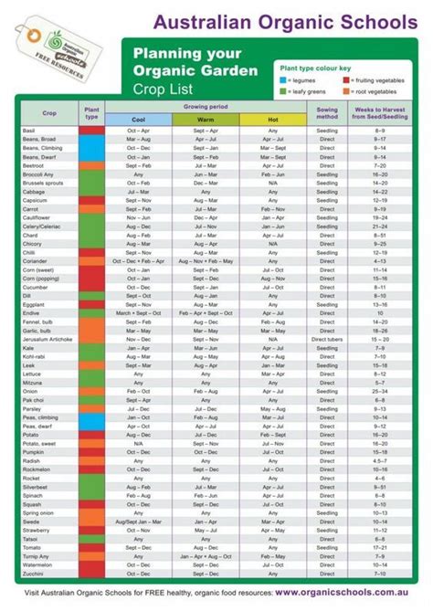 Planting Times In Australia For Fruits And Vegetables From Australian