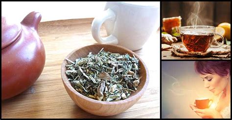 Herbal Teas That Can Help Detoxify The Liver Dr Farrah Md