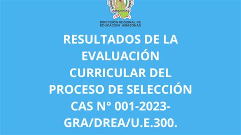 Resultados De La Evaluación Curricular Del Proceso De Selección Cas N