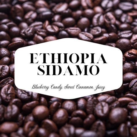 Ethiopia Sidamo Light 12 Oz Subscription The Fig Tree