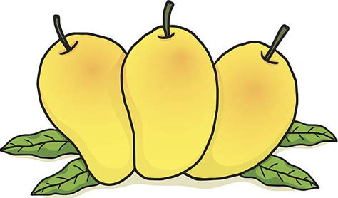 Yellow Ripe Cartoon Mango Fruit Clip Art Vector Images And Illustrations