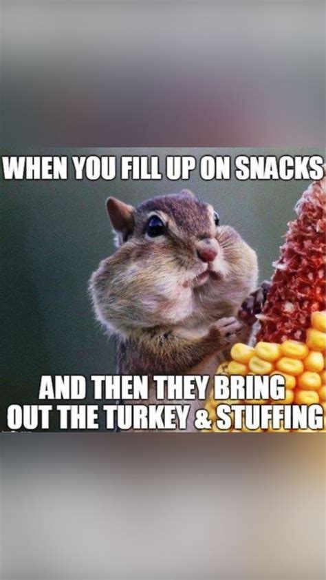 WHOLESOME THANKSGIVING MEMES | Funny thanksgiving memes, Happy ...