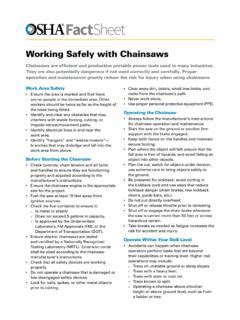 Working Safely with Chain Saws - Occupational … / working-safely-with ...