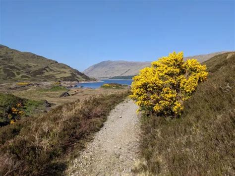 Best Waterfall Trails In Corrour AllTrails