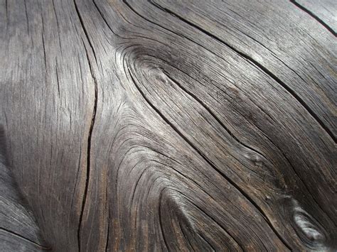 Silver Wood Texture Free Photo Download | FreeImages