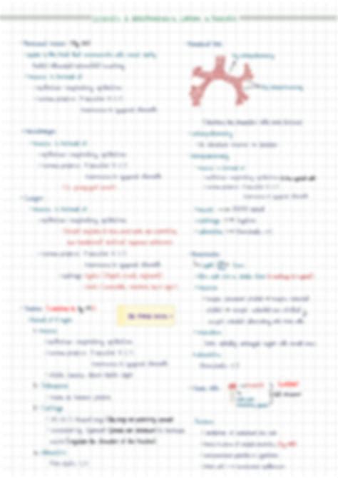 Solution Histology Respiratory System Studypool