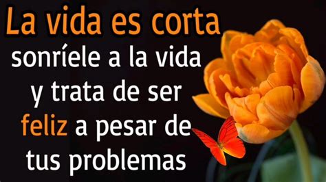 La Vida Es Corta Sonr Ele A La Vida Y Trata De Ser Feliz A Pesar De