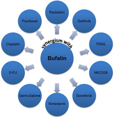 Frontiers An Overview Of The Past Decade Of Bufalin In The Treatment