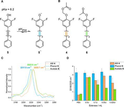 Determination Of Intracellular Esterase Activity Using Ratiometric