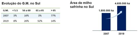 Entenda porque a Brasmax é líder em genética de soja