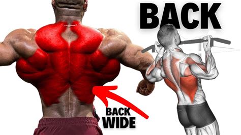 How To Build A Bigger Back 8 Effective Exercises Back Workout Youtube