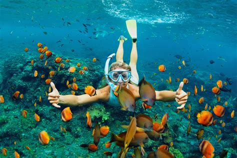 cu lao cham island  hoi  attractions  hoi  vietnam