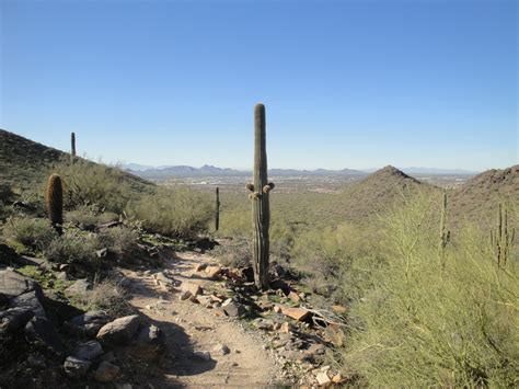 McDowell Sonoran Preserve - Garden Solutions Landscaping-Rainwater ...