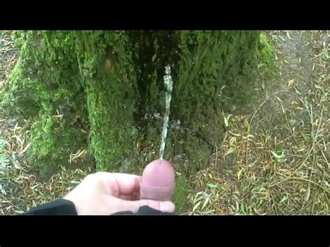 Hombre orinando en un árbol XVIDEOS