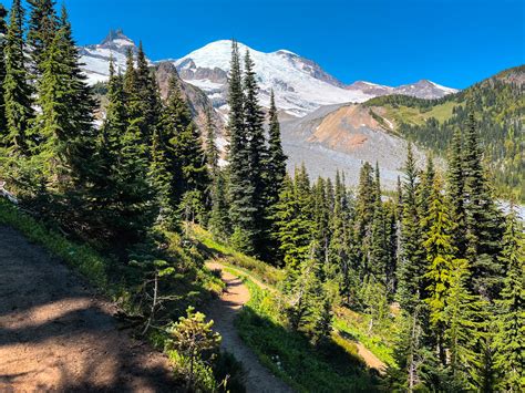 Complete Guide to Mount Rainier National Park - Chasing ADVNTR