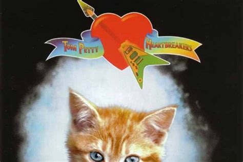 Classic Album Covers Reimagined With Kittens Artofit