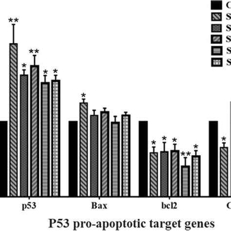 Comparison Of P Bax Bcl And C Myc Mrna Levels In The A Cells