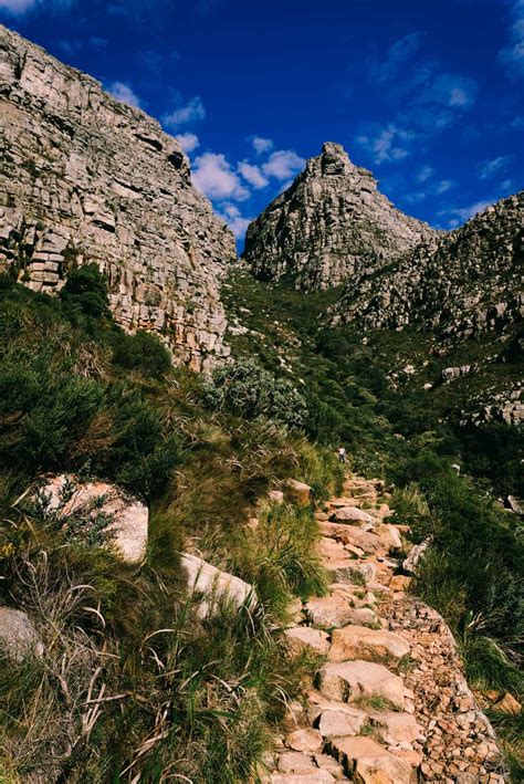 Table Mountain Hike South Africa Cabinets Matttroy