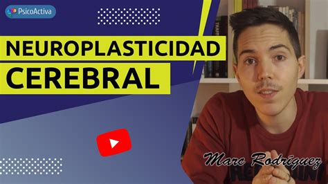 El Superpoder De La Neuroplasticidad Cerebral YouTube