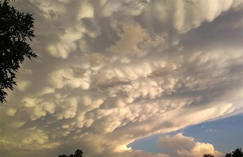 What Are Those Bumpy Body Part Clouds Seen Around Colorado