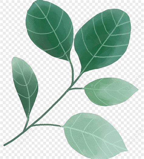 Hand Painted Leaves Green Leaves Branch Leaves Branch Green Png