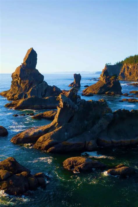 The 10 Best Olympic National Park Beaches