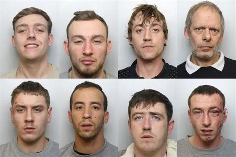 Festival Drug Dealers Dangerous Drivers And 11 Other Criminals Locked