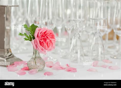 champagne at celebration Stock Photo - Alamy