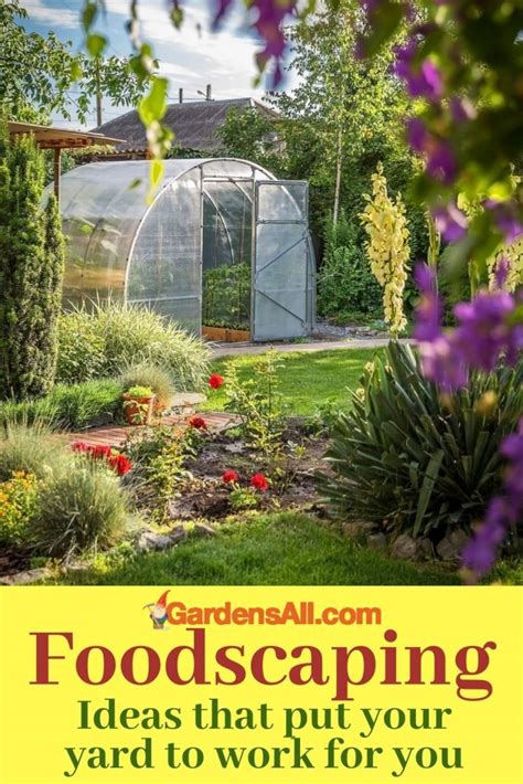 Growing Food In Your Yard Ideas