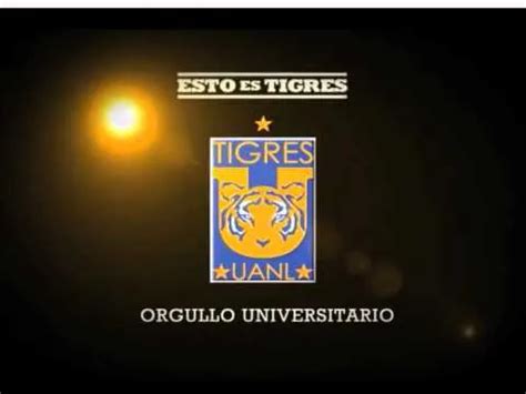 Imagenes Tigres Uanl D Imagui