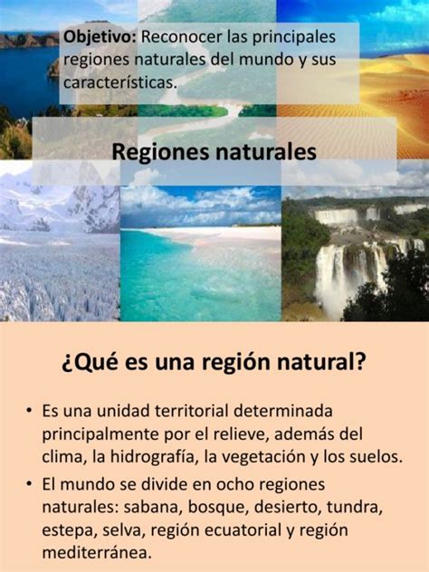 Cuadros Sin Pticos De Las Regiones Naturales De Argentina Cuadro The