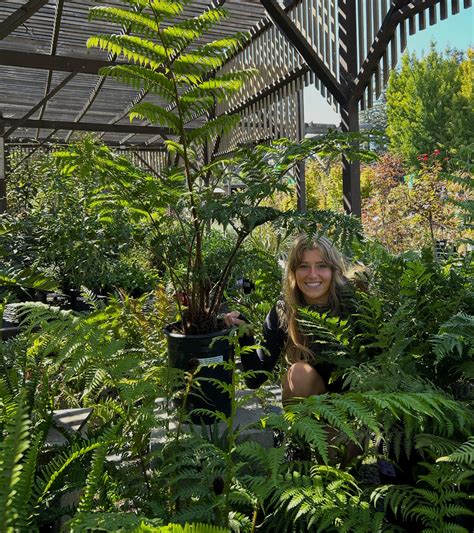 san lorenzo garden center 7