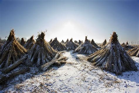 25 amazing winter photos from Hungary – Pannonland.com