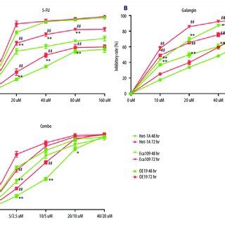 Effects Of Fluorouracil 5 FU And Galangin On The Invasion Of Human