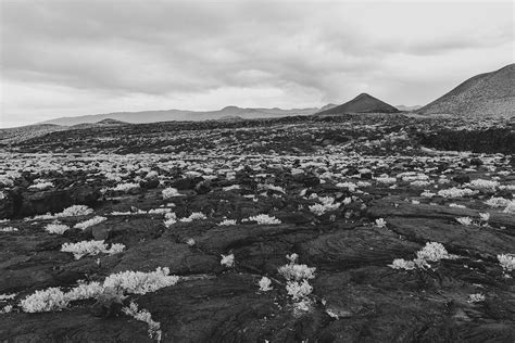 Volcanoes Canary Islands The Iron - Free photo on Pixabay