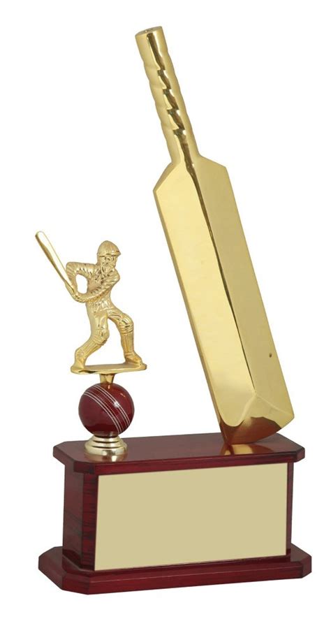 Golden Gold Plated Brass Batsman Cricket Trophy At Rs Piece In