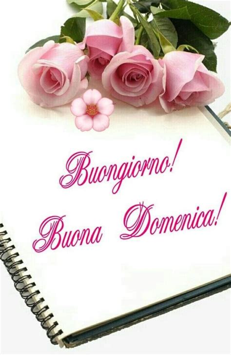 Pin Di Gianna Pieralli Su Buona Domenica Auguri Di Buongiorno Buona