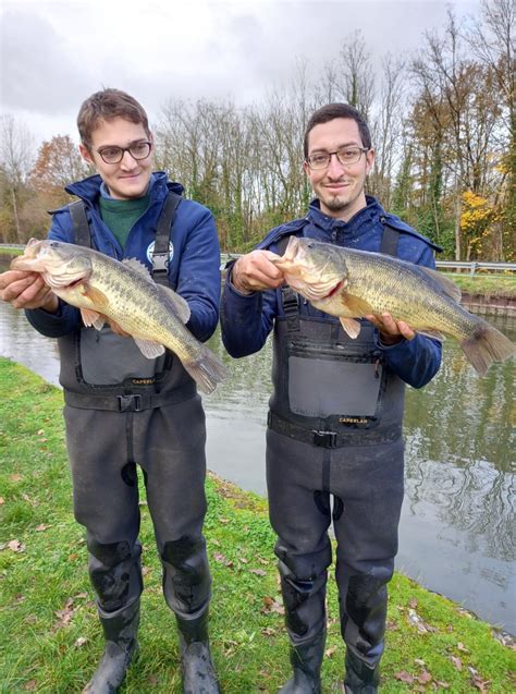 Bilan Des Peches De Sauvetages Canal Du Centre F D Ration De