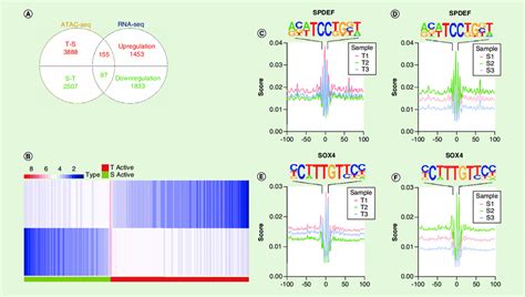 Enrichment Analysis Of Genes Integrated By Atac Seq And Rna Seq A