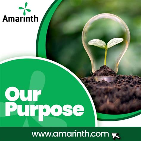 amarinth  linkedin sustainability netzero amarinth
