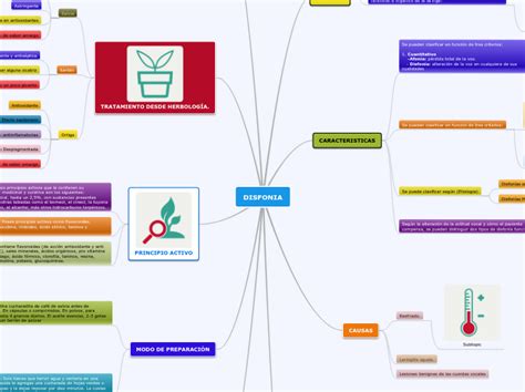 Funciones Energeticas Que Tienen Los Organ Mind Map