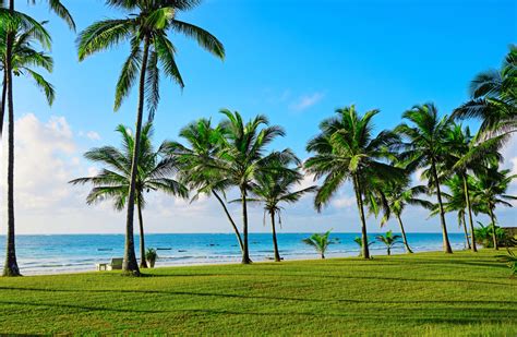 Lastminuter Wypoczynek przy plaży w Kenii Bardzo dobry 4 hotel z