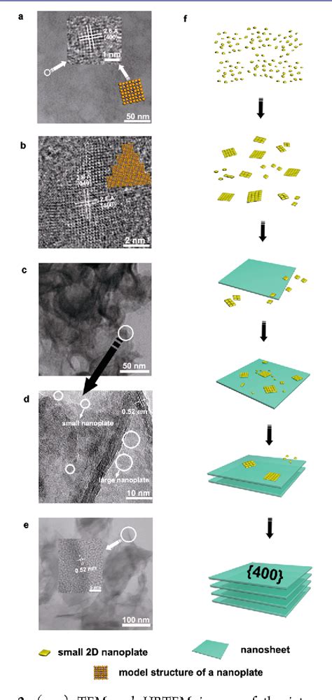 Figure From Half Metallic Ferromagnetism In Synthetic Co Se